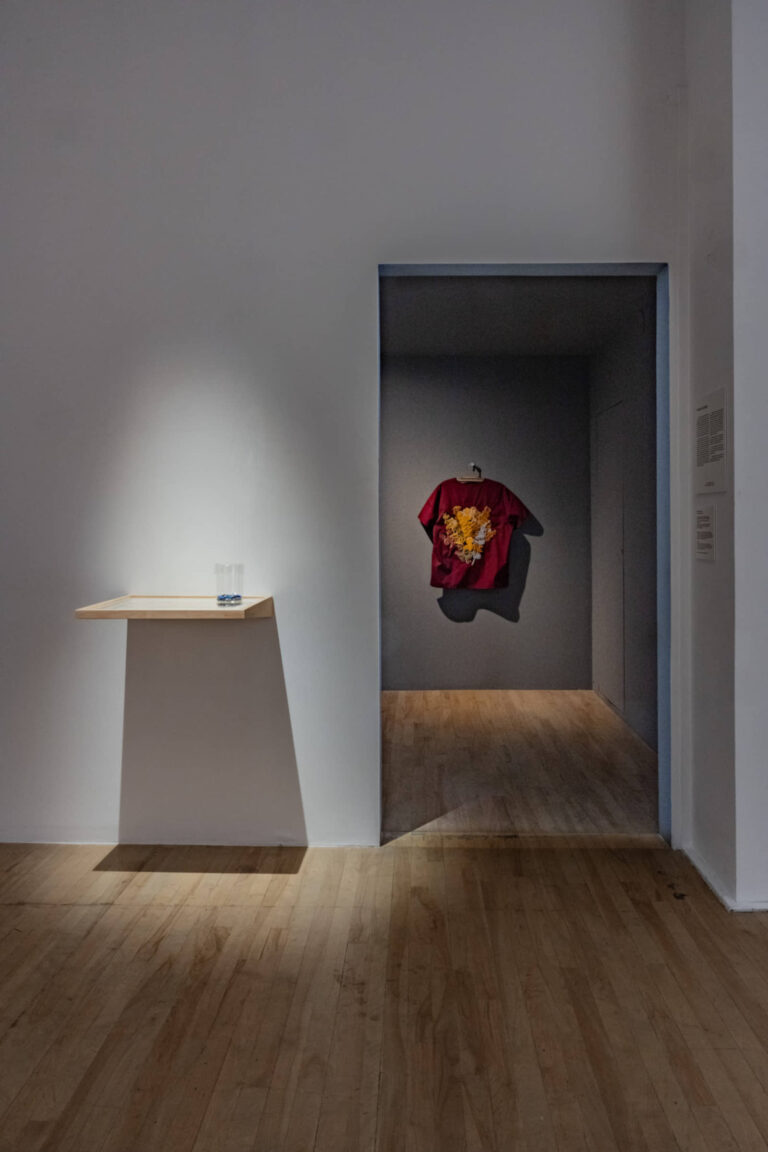 Yannick De Serre, La guérison pour faim, 2025, installation-laboratoire performatif et évolutif, matériaux artistiques et accessoires médicaux divers. Photo : Paul Litherland