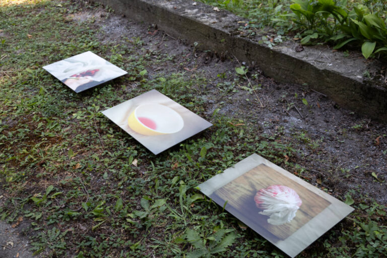 Sarah Boutin, Gestes linceuls filets bandages écharpes canevas paniers, 2023-2025, installation en nature de 15 photographies analogues imprimées sur feuille d’aluminium composite, 8 x 12 pouces et 12 x 18 pouces. Photo : Annie France Leclerc