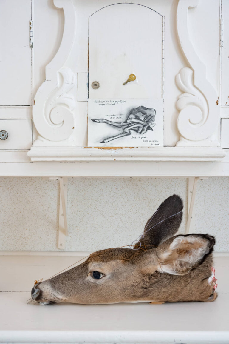 Mathilde Demoli, Tête de biche, 2022-2025, installation dans la sacristie de l’église, sculpture et taxidermie. Photo : Paul Litherland