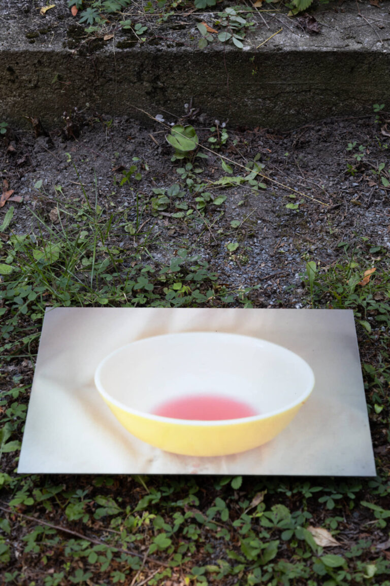 Sarah Boutin, Gestes linceuls filets bandages écharpes canevas paniers, 2023-2025, installation en nature de 15 photographies analogues imprimées sur feuille d’aluminium composite, 8 x 12 pouces et 12 x 18 pouces. Photo : Annie France Leclerc
