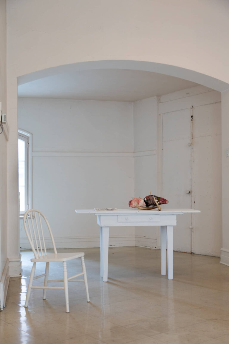 Mathilde Demoli, Tête de biche, 2022-2025, installation dans la sacristie de l’église, sculpture et taxidermie. Photo : Annie France Leclerc