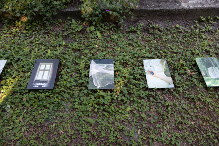Sarah Boutin, Gestes linceuls filets bandages écharpes canevas paniers, 2023-2025, installation en nature de 15 photographies analogues imprimées sur feuille d’aluminium composite, 8 x 12 pouces et 12 x 18 pouces. Photo : Annie France Leclerc