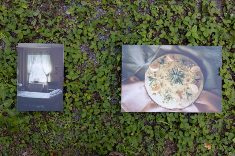 Sarah Boutin, Gestes linceuls filets bandages écharpes canevas paniers, 2023-2025, installation en nature de 15 photographies analogues imprimées sur feuille d’aluminium composite, 8 x 12 pouces et 12 x 18 pouces. Photo : Annie France Leclerc