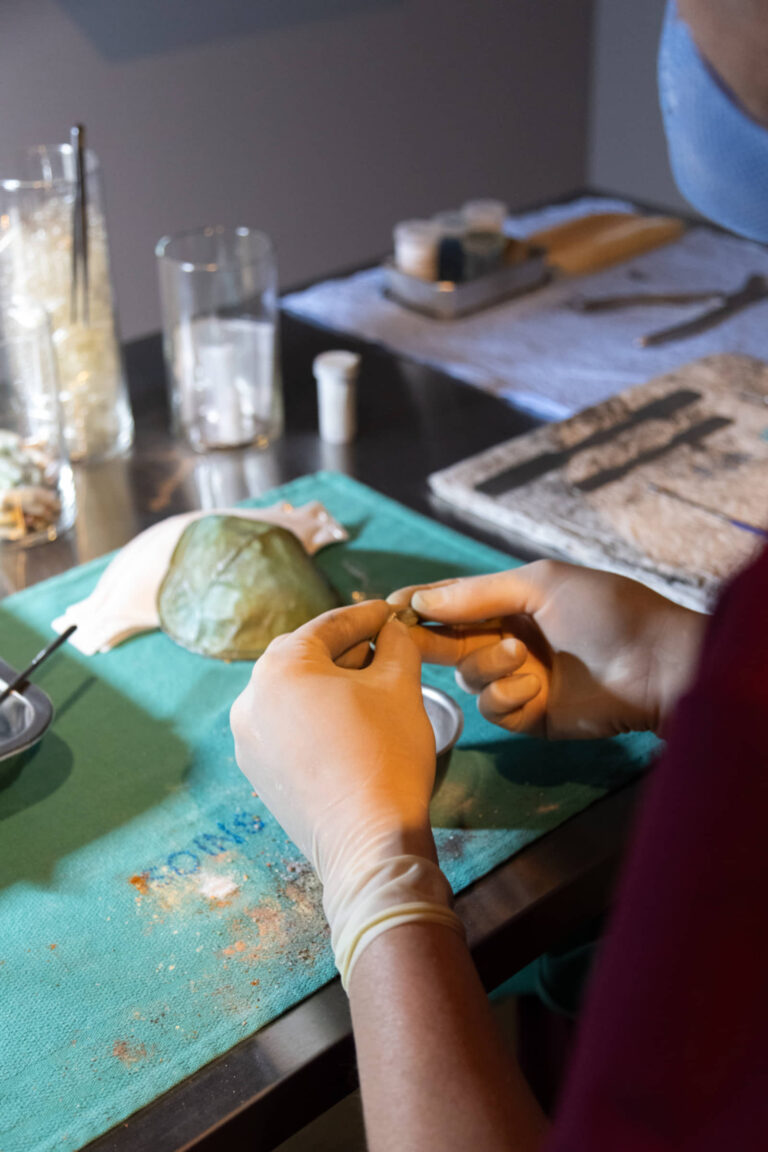 Yannick De Serre, La guérison pour faim, 2025, installation-laboratoire performatif et évolutif, matériaux artistiques et accessoires médicaux divers. Photo : Annie France Leclerc